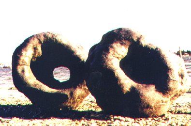 fleursdumal31.jpg (26916 bytes)