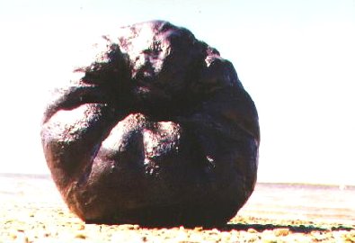 fleursdumal8.jpg (18663 bytes)